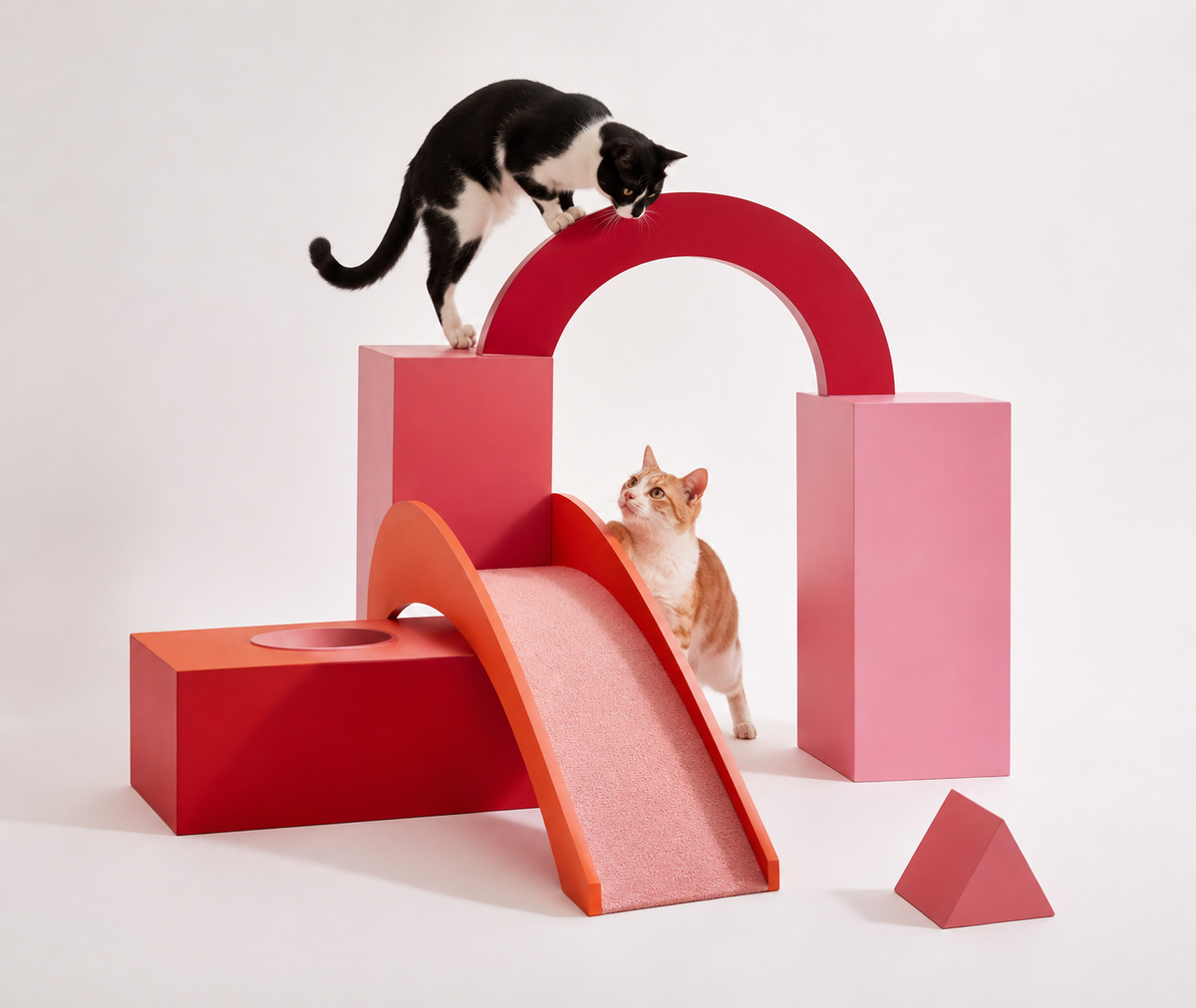Two cats exploring a playful geometric cat course